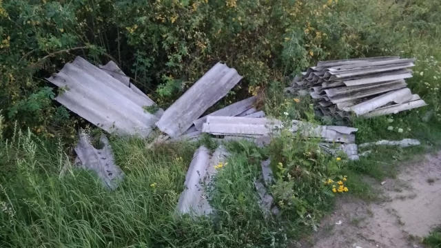 Tczew - Zamieniają szlak spacerowy w wysypisko. "Z azbestem to już przesada" [AKTUALIZACJA]