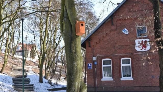 Tczew - Ptaki z parku dostały dach nad głową. Dzięki społecznikowi