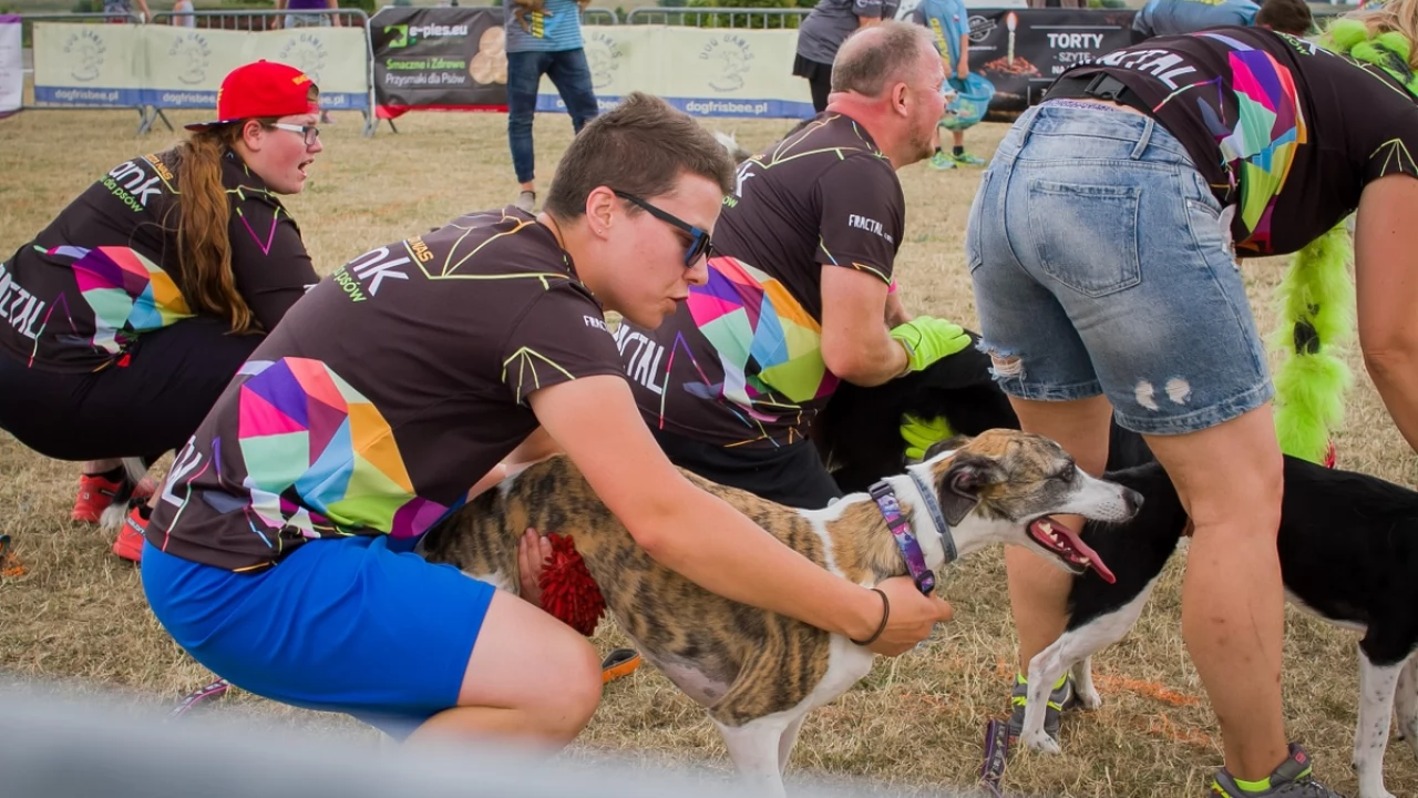 Tczew - Foodtrucki i Flyball nad Wisłą