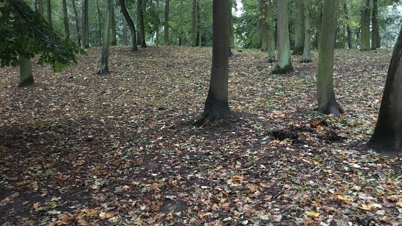 Tczew - Park Miejski jesienią z dnia 7.10.2016