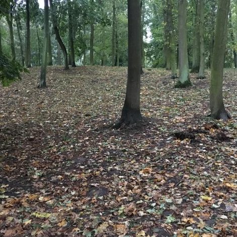 Tczew - Park Miejski jesienią z dnia 7.10.2016