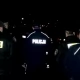 Tczew - Obława na łosie w Tczewie. Nocna akcja mundurowych i ekipy TVN24