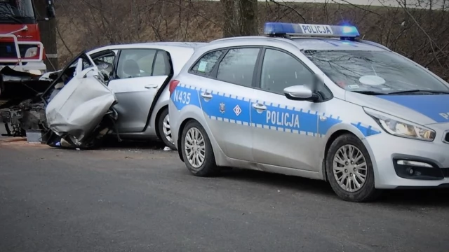 Tczew - Zjechała z drogi i uderzyła w drzewo