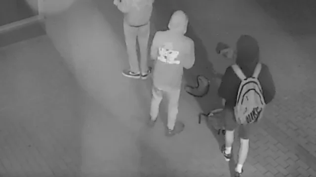 Tczew - Policja ustala, kto zniszczył elewację hali sportowej. Znasz te osoby?