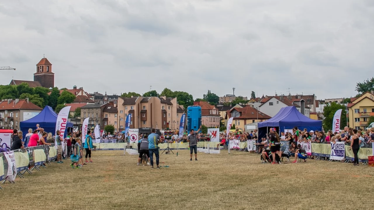 Tczew - Foodtrucki i Flyball nad Wisłą