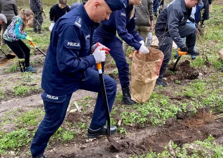 Tczew - Policjanci sadzili las