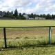 Tczew - Przebudowa stadionu na Bałdowskiej. Będzie nowy przetarg, bo wygrana firma w ostatniej chwili zrezygnowała