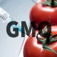 Tczew - Prośba do naszego posła w sprawie GMO