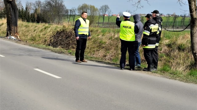 Tczew - Wytną drzewo w miejscu śmiertelnego wypadku