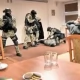 Tczew - Terrorysta bez litości dla radnych powiatu - zobacz materiał z akcji antyterrorystów