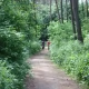 Tczew - Idą do lasu po zdrowie i szczęście