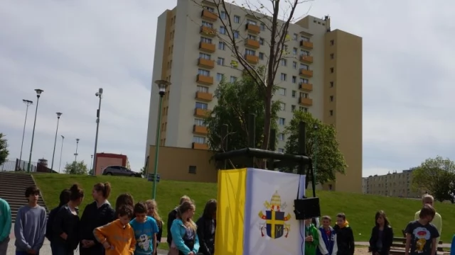 Tczew - W Tczewie rośnie platan dedykowany Janowi Pawłowi II