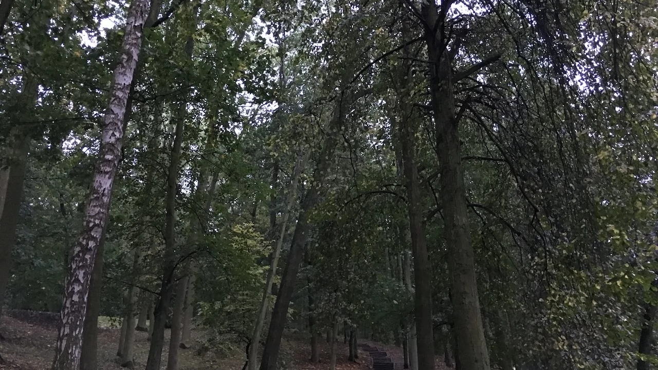 Tczew - Park Miejski jesienią z dnia 7.10.2016
