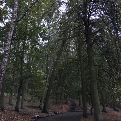 Tczew - Park Miejski jesienią z dnia 7.10.2016