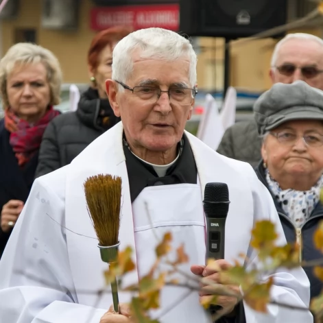 Tczew - Dąb na stulecie niepodległości