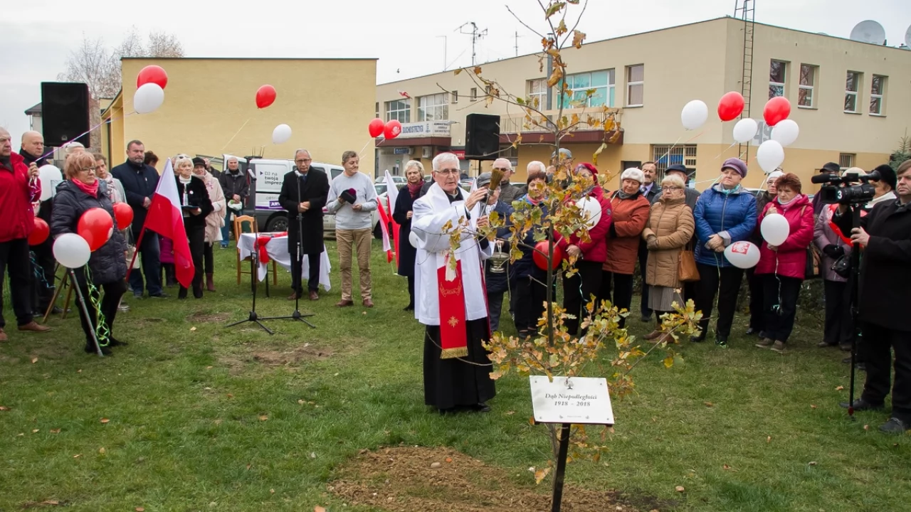 Tczew - Dąb na stulecie niepodległości