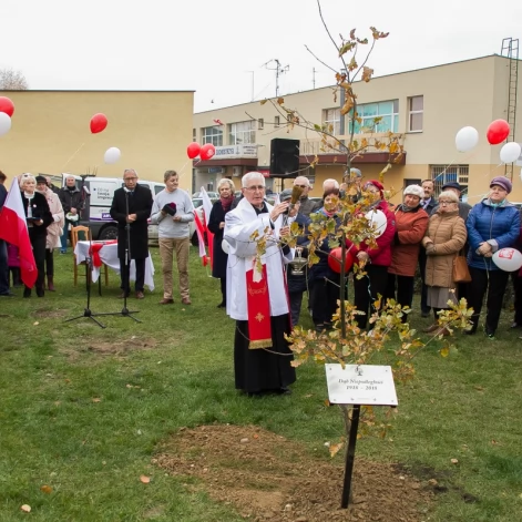 Tczew - Dąb na stulecie niepodległości