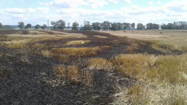 Tczew - Płoną hektary! Rolnicy tracą tegoroczne uprawy
