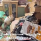 Tczew - Kocie zwłoki w zamrażalniku między chlebem a warzywami! Dramatyczna interwencja OTOZ Animals
