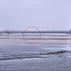 Tczew - Strażacy ratowali dryfującego na krze lisa i uwięzione sarny