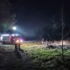 Tczew - Impreza przy ognisku wymknęła się spod kontroli. Mógł spłonąć las