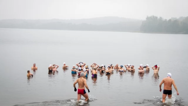 Tczew - Zimno? Nie im! Morsy zapraszają do wspólnych kąpieli [FOTO]