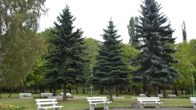 Tczew - TTBS szuka nieruchomości dla ewangelików w zamian za Park Kopernika