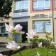 Tczew - Głosujmy na Sienkiewicza