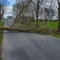 Tczew - Strażacy usuwali skutki wichury