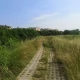 Tczew - Czy ktoś w ogóle to kosi?