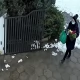 Tczew - Z grobu zginął znicz i choinka. Policja szuka tej kobiety