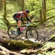 Tczew - Pomerania MTB Maraton w Kwidzynie
