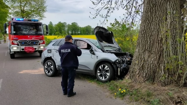 Tczew - Wyprzedzał na łuku, skończyło się na drzewie. Tczewianin miał prawie 2 promile