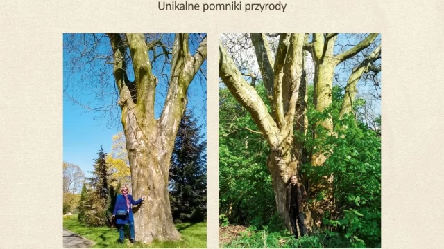 Tczew - Takiej gminy Tczew nie znacie. Najnowsza publikacja Józefa Golickiego