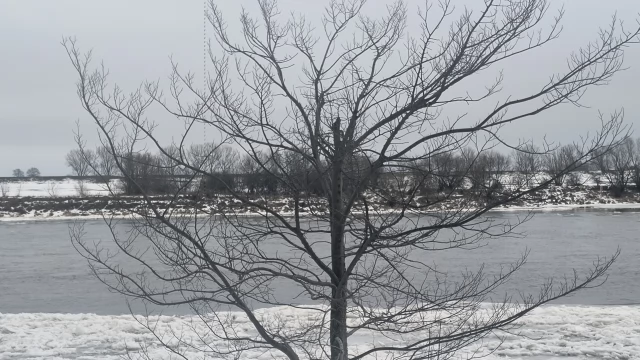 Tczew - Biuro Prognoz Hydrologicznych ostrzega przed gwałtownymi wzrostami stanów rzek