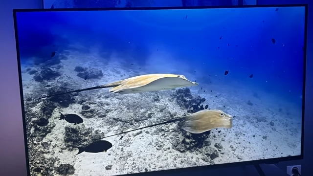 Tczew - Telewizor 50 Philips 50PUS8319, Smart, GWARANCJA