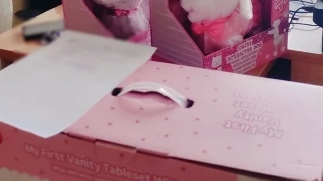 Tczew - Wynosił zabawki i torby ze sklepów. Kryminalni ustalili sprawcę