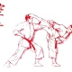 Tczew - Pokazy karate w hali II LO