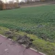 Tczew - Przed czym chronią barierki?