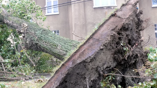 Tczew - Skutki wichury w Tczewie