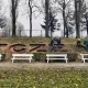 Tczew - Rabata z ozdobnych krzewów powita w Tczewie