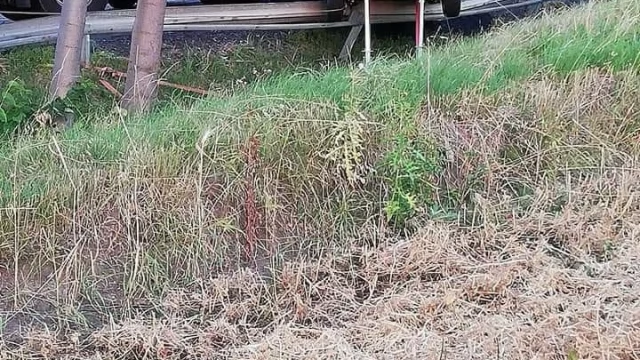 Tczew - Subkowy. Po poważnym wypadku zablokowana droga krajowa nr 91