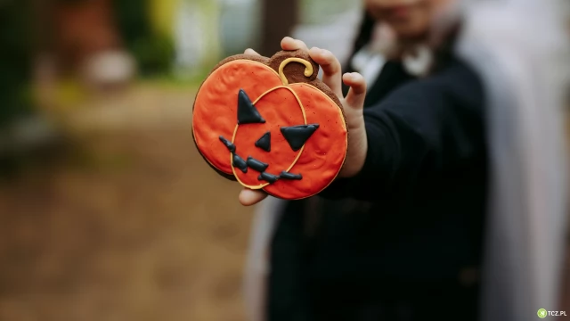 Tczew - Halloween, Bal Wszystkich Świętych, czy Święto Dyni? "A komu to potrzebne?"
