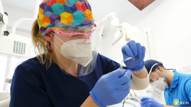 Tczew - Asystentka / Higienistka stomatologiczna w DENTU