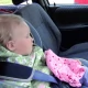 Tczew - Podczas upału nie zostawiaj w aucie ani dziecka, ani zwierzaka!