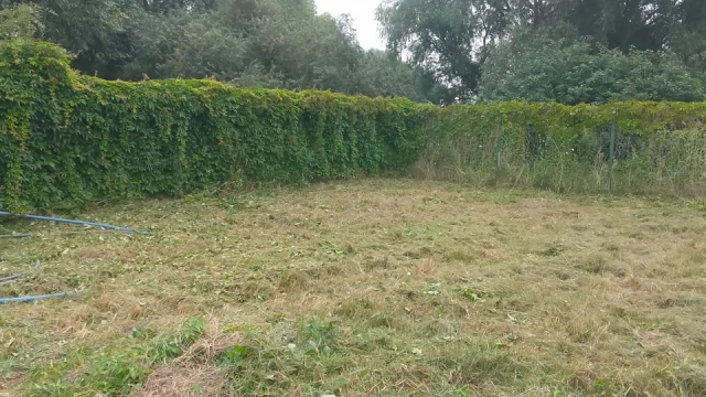 Tczew - Oddam Działkę RoD Okazja Polecam!