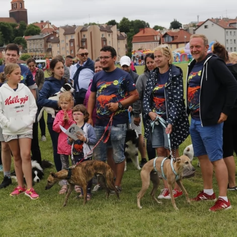 Tczew - Zawody Flyball, czyli wyścig psich sztafet