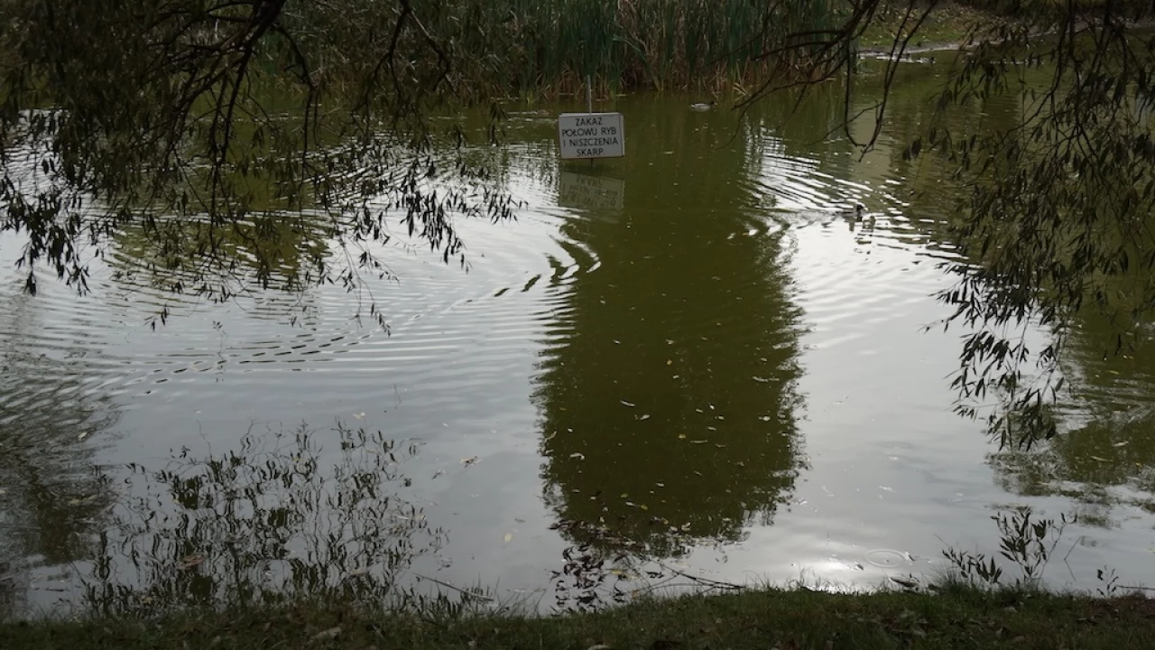Tczew - Stawek na Bajkowym