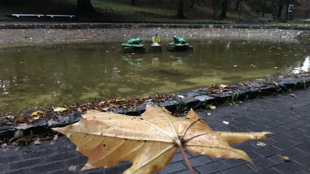 Tczew - Park Miejski jesienią z dnia 7.10.2016