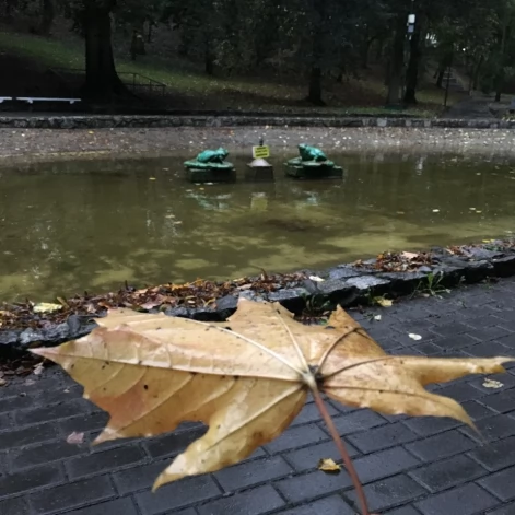 Tczew - Park Miejski jesienią z dnia 7.10.2016
